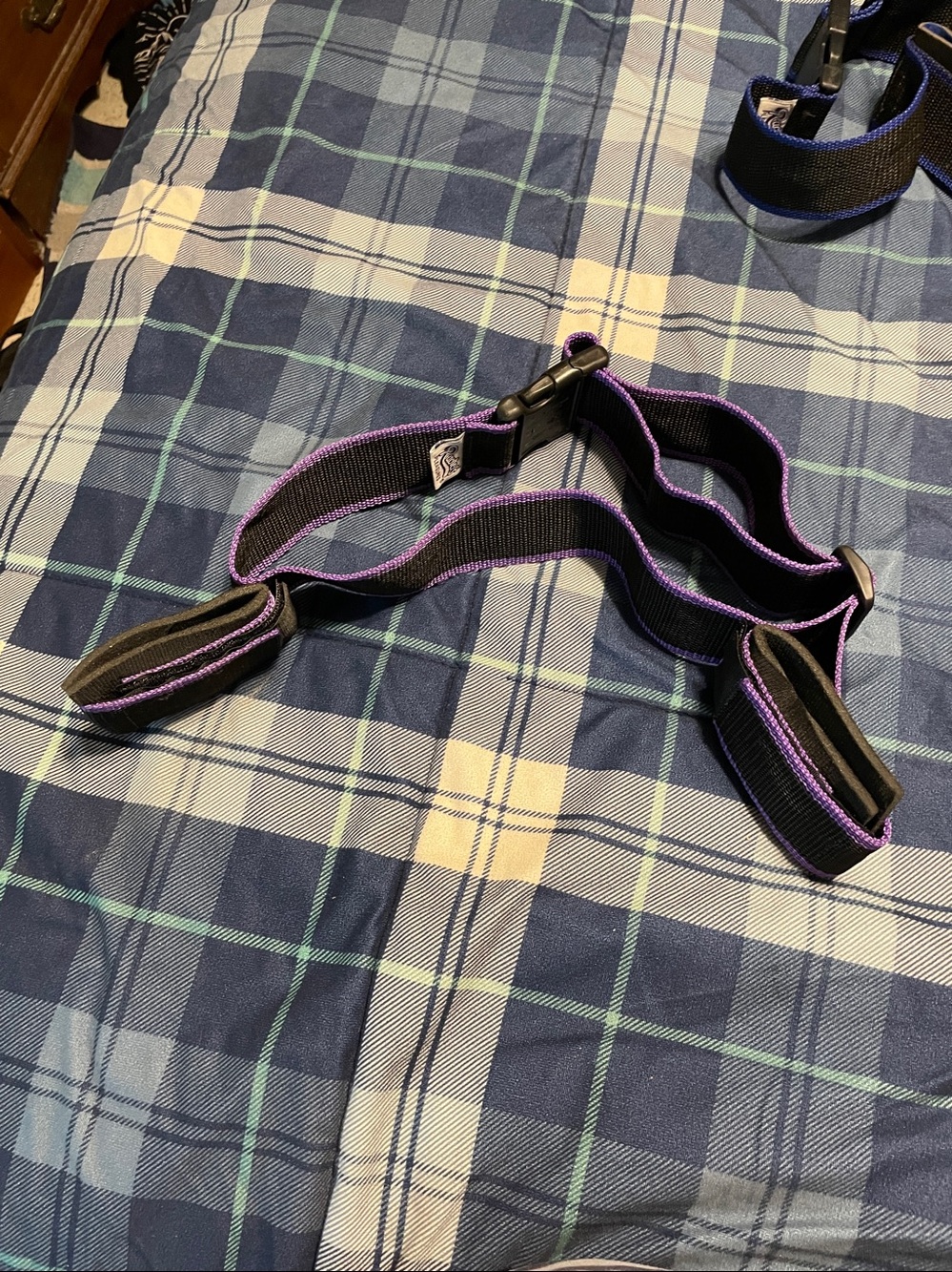 purple adjustable restraint belt